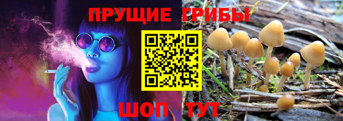 Псилоцибиновые грибы MAGIC MUSHROOMS Обь
